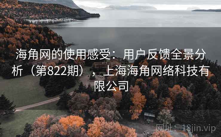 海角网的使用感受：用户反馈全景分析（第822期），上海海角网络科技有限公司