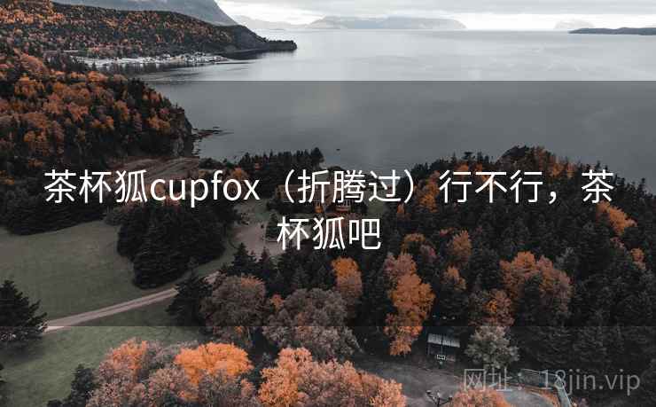 茶杯狐cupfox(折腾过)行不行,茶杯狐吧 茶杯狐cupfox(折腾过)行不行,茶杯狐吧