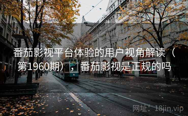 番茄影视平台体验的用户视角解读（第1960期），番茄影视是正规的吗